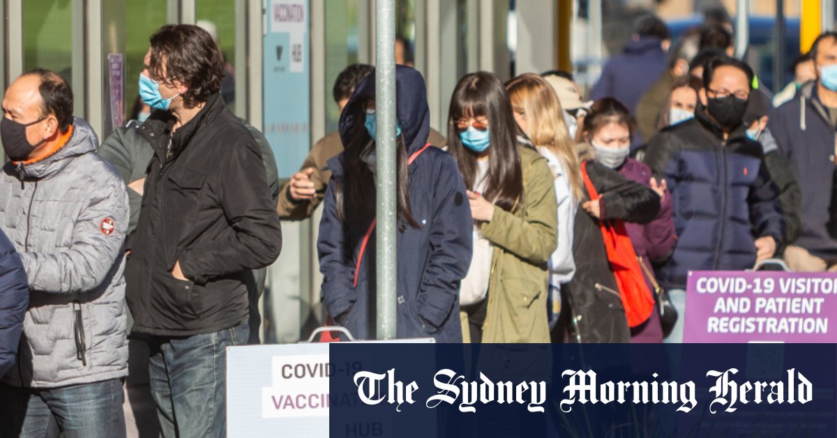 Startup offers to step in as Victoria waits for online ...