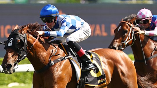 Either Oar extends away from rivals to win first-up at Randwick last month.