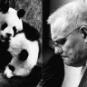 The pandas Xiao Xiao and Fei Fei, loaned to Australia by China for our Bicentenary celebrations; Scott Morrison speaking to the press in Canberra.