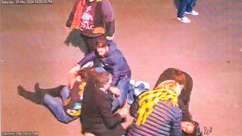 Revealed: The images showing Lidia Thorpe being assaulted outside the MCG