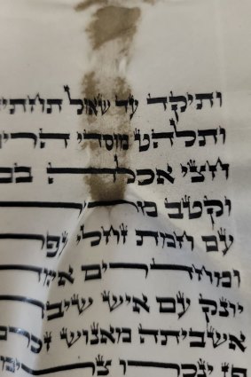 A damaged section of Torah scroll.