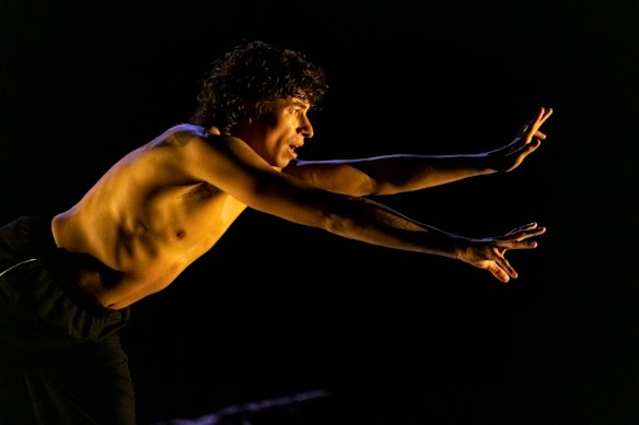 The Honouring is a moving work that pulls no punches.