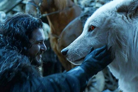 Jon Snow is reunited with his dire wolf, Ghost, in the Game of Thrones finale. 