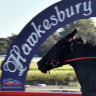 Racing returns to Hawkesbury on Thursday.