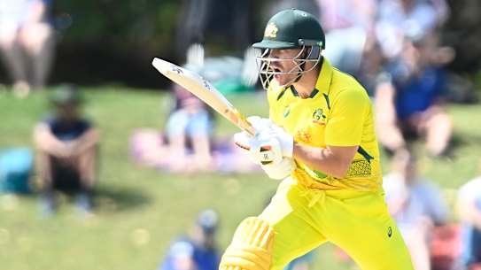 Australian batter David Warner.