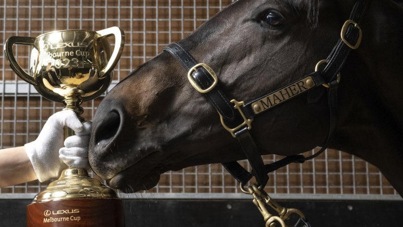 How this year’s Melbourne Cup could be run and won