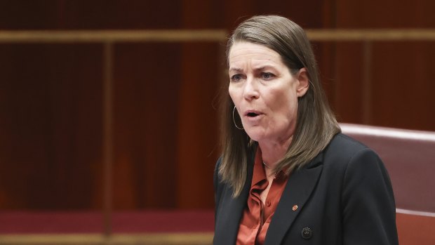 From The Matrix to Nationals deputy leader: Perin Davey’s next job