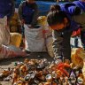 Workers sort rubbish collected from atop Mount Everest, and Mount Everest’s peak is seen through the Himalayas.