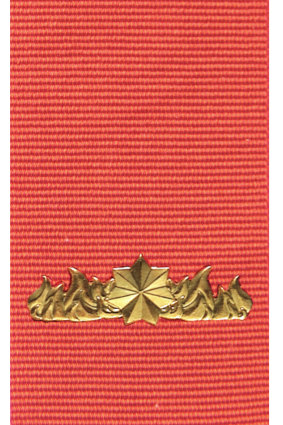 Commendation for Gallantry