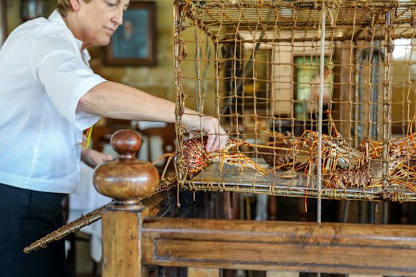 Live seafood is kept in Casa Camara's basement, which is flooded twice a day by the tide.