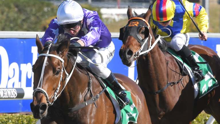 Mac attack: Cormac is flying this preparation and is a good chance again at the Farm.