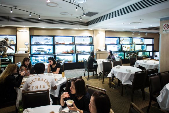 The famous seafood tanks at Golden Century in 2016.