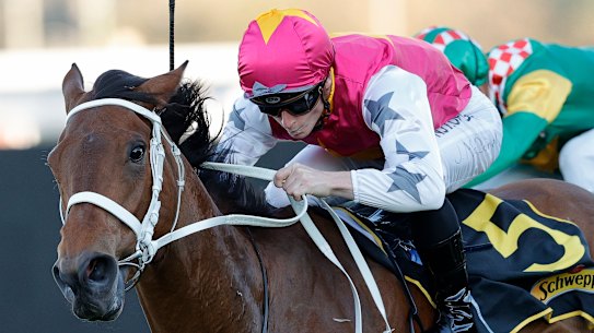 Haut Brion Her is the final horse into The Everest field. 