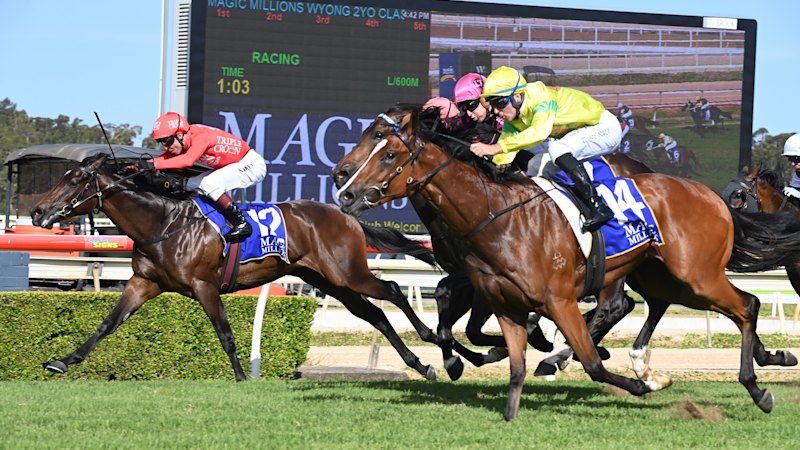 Race-by-race tips and previews for Sunday’s Wyong meeting