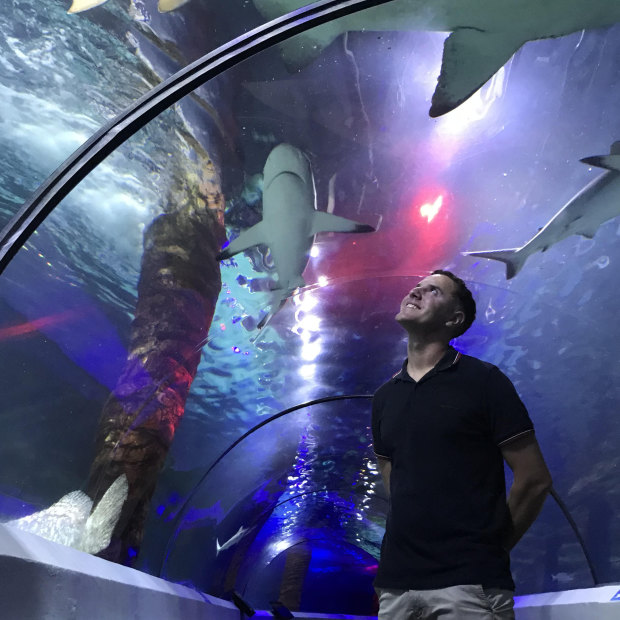 Sea Life Sunshine Coast General Manager Quinn Clarke says the aquarium was busier in 2020 than the previous two years.