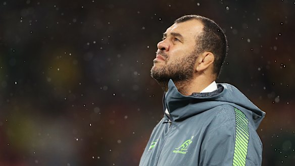 'Playing the underdog': Wallabies coach Michael Cheika.