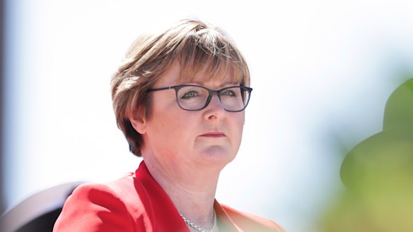 Defence Minister Linda Reynolds says the submarine design program is on track.