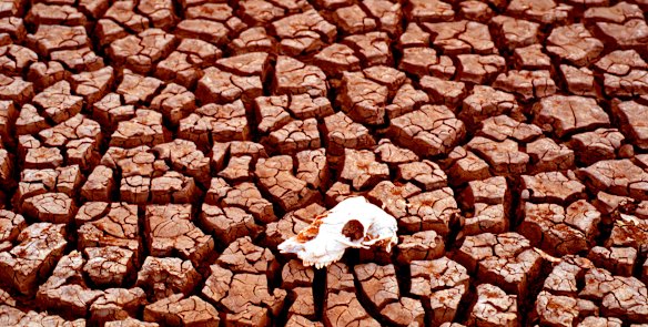 As the earth warms, parts of southwestern Australia could spend more than 80 per cent of a decade in drought conditions by 2050.