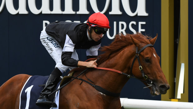 Easy win: Jordan Childs rides Written By to victory in the Blue Sapphire Stakes at Caulfield. 
