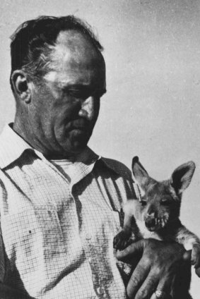 The chief driller at Exmouth Gulf, Mr. A. C. Dysart with a joey. 