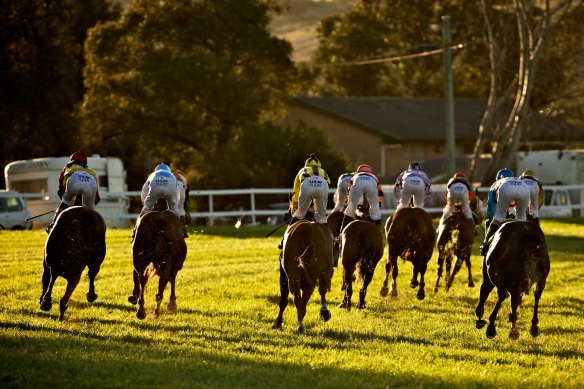 Racing  returns to Muswellbrook today with a strong seven-race card.
