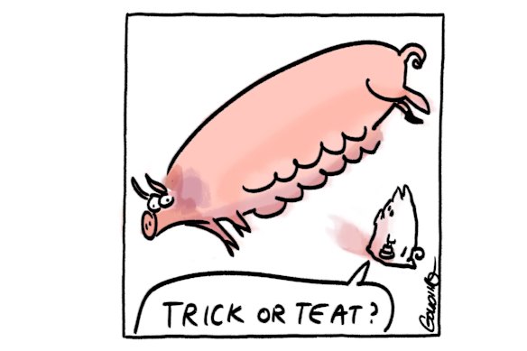 Illustration by Matt Golding