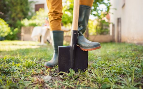 I made my flower bed, I’ll lie in it.