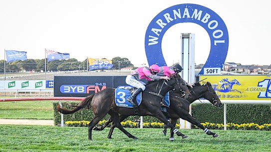 On the trot: Vanguard wins the Brierly Steeplechase.