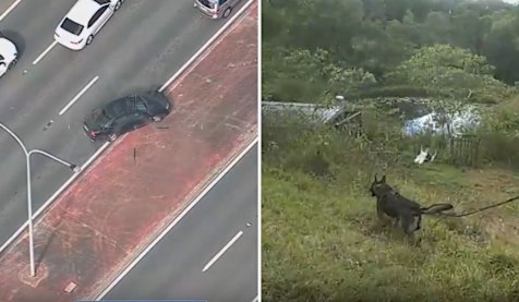 Composite: Police have released vision in relation to an alleged dangerous driving incident in the Moreton District yesterday, 23 July. Police dog Stryker was deployed in the search when the men fled the vehicle.