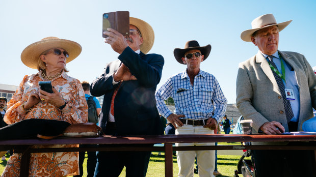 Gallery: The Brisbane Ekka in pictures