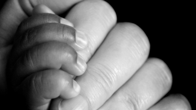 One-year-old euthanised in the Netherlands