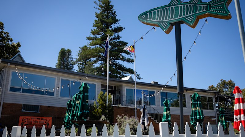 The stink, the septic system and the $6m question: Inside Albanese’s Marrickville mess