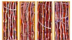 Awelye I, II, III & IV, 1995, a four-panel work by Emily Kam Kngwarreye carries an estimate of $400,000 to $600,000  in Deutscher + Hackett’s Important Australian Indigenous Art auction to be held in Melbourne on March 25. 