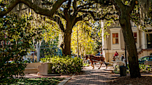 Chippewa Square in the historic district of Savannah is one of 23 green spaces that are genteel oases distinguishing this coastal Georgia city.