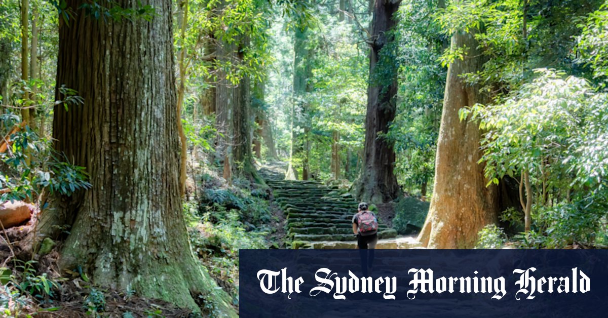 Swap Japan’s megacities for this rugged peninsula’s peacefulness