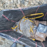 A black bag containing 39 bricks of cocaine was discovered by Newcastle’s Ocean Baths on Boxing Day.