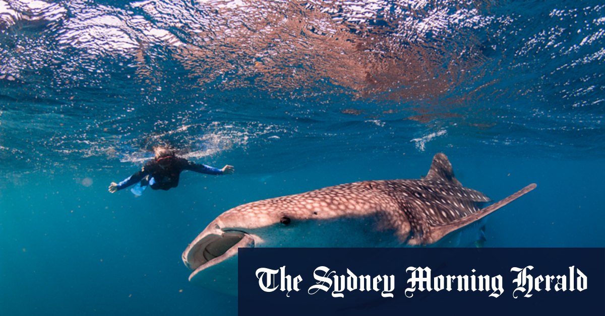 Cheap flights Australia: WA tourism operators 'overlooked' by federal $1.2b support package - Vimarsana News