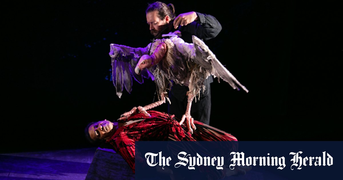 Paradise or the Impermanence of Ice Cream review: Where vultures dare - Vimarsana News