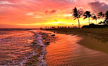 This image is for use with this specific article only**Poipu Beach, Kauai, Hawaii: According to Stephen Leatherman, who is also known as 'Dr. Beach,' and a coastal scientist at Florida International University in Miami, Poipu Beach is a crescent-shaped beach located on the sunny, dry side of the island of Kauai, and is the best beach in the US for 2026.