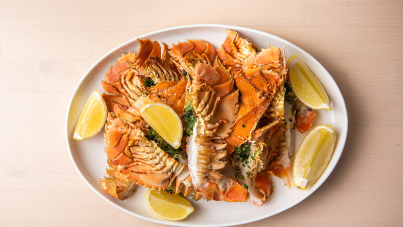 featured-image