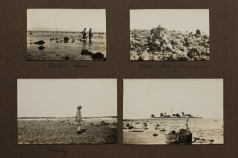 Archival photos from the 1928 expedition to the Howick Islands. 