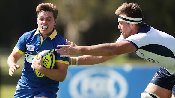 Treading lightly: Don't burden Will Harrison, seen playing here for Sydney in the NRC, with unrealistic expectations.