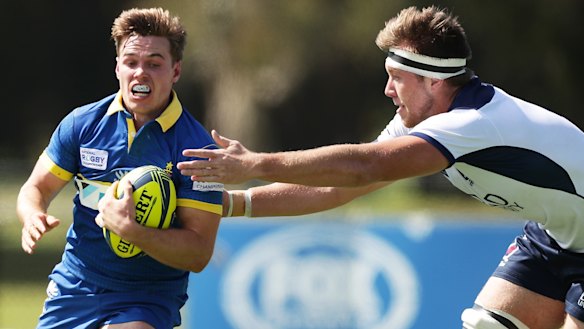 Ready to step up? Harrison in action during the National Rugby Championship last year.