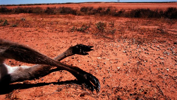 As the driest inhabited continent on earth, Australia is particularly vulnerable to the effects of planetary warming.