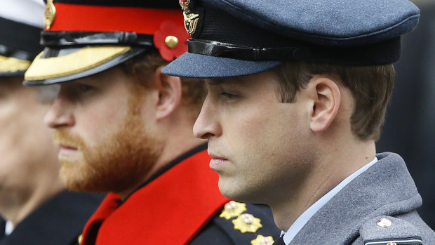 Prince Harry and Prince William, pictured together in 2015. 