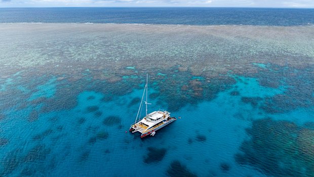 Investment in the Great Barrier Reef islands is one of the priorities outlined in the Queensland government’s 20-year tourism plan. 