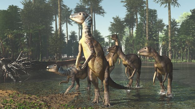 An artist's impression of a Weewarrasaurus identified by Phil Bell and his team at Lightning Ridge in Australia.  