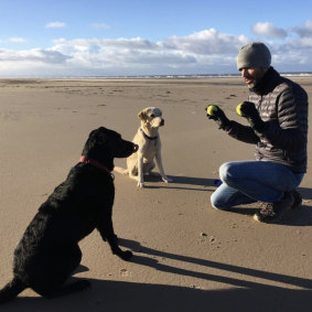 Sports commentator turned video star Andrew Cotter with his dogs Mabel and Olive.