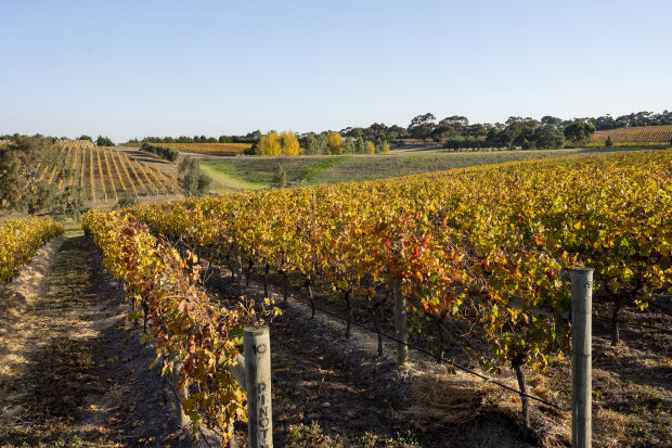 Bannockburn Vineyards in the Geelong region.