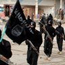 Telco giant Ericsson on rocky road over Islamic State bribes